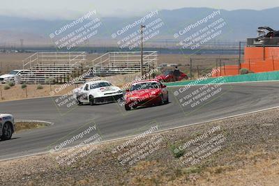 media/May-03-2025-Lucky Dog Racing (Sat) [[206de64b9d]]/Turn 4 B (1150am-130pm)/